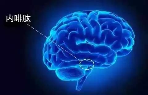 cf5a4725-b37b-430f-9125-079114cfd5f7.jpg 6.jpg