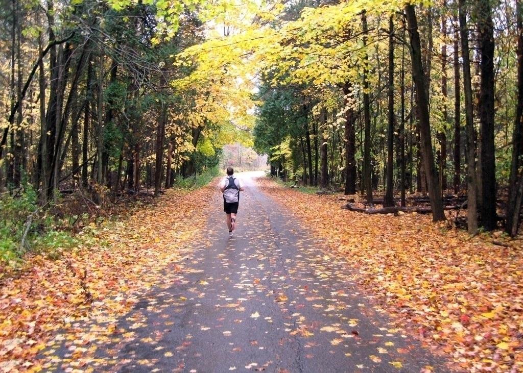 跑步是我遇见最好的事情